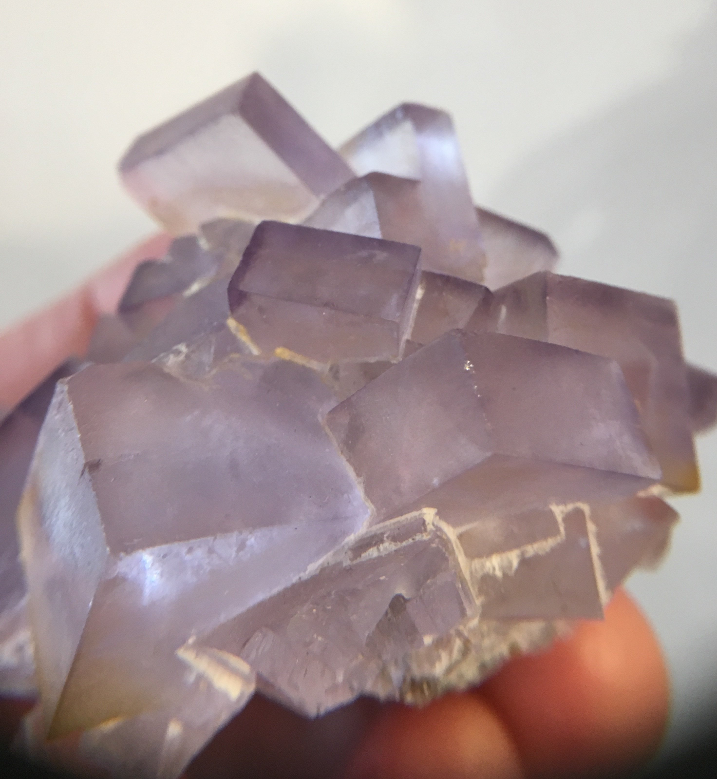 Fluorite, Tauorirt Mine, Morocco