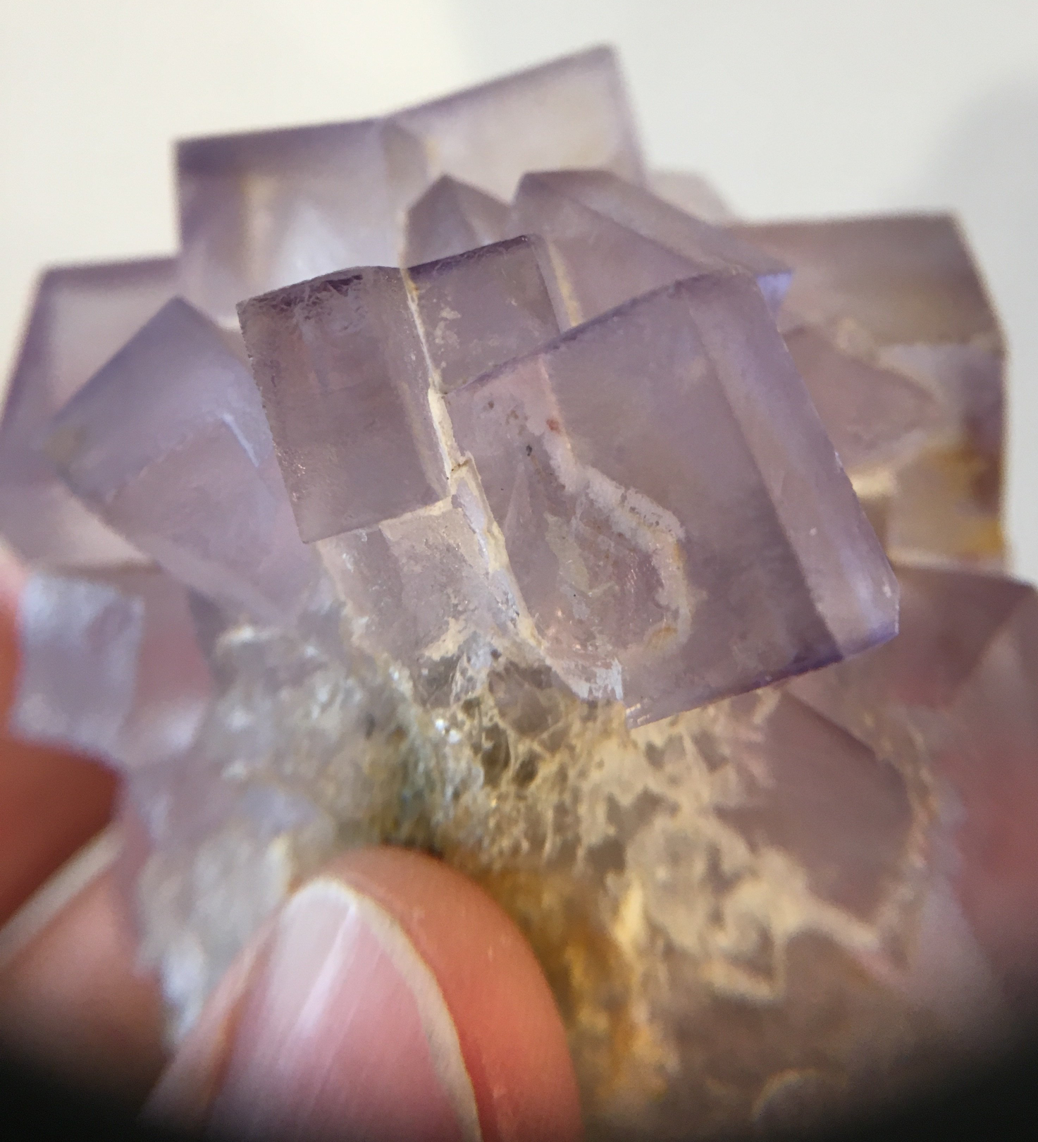Fluorite, Tauorirt Mine, Morocco