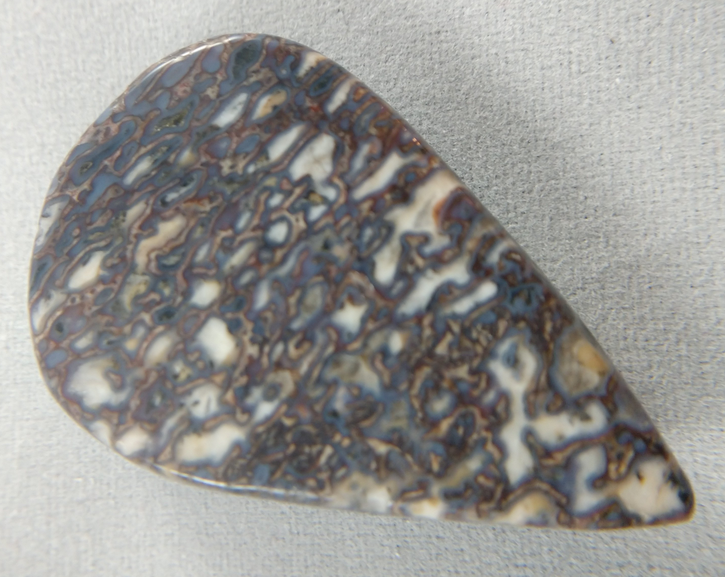 Dinosaur Bone Cabochon