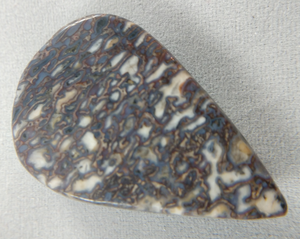 Dinosaur Bone Cabochon