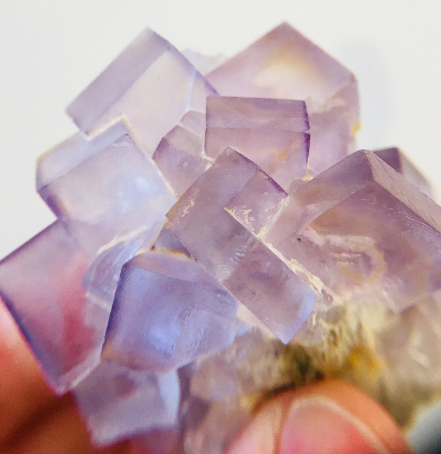 Fluorite, Tauorirt Mine, Morocco