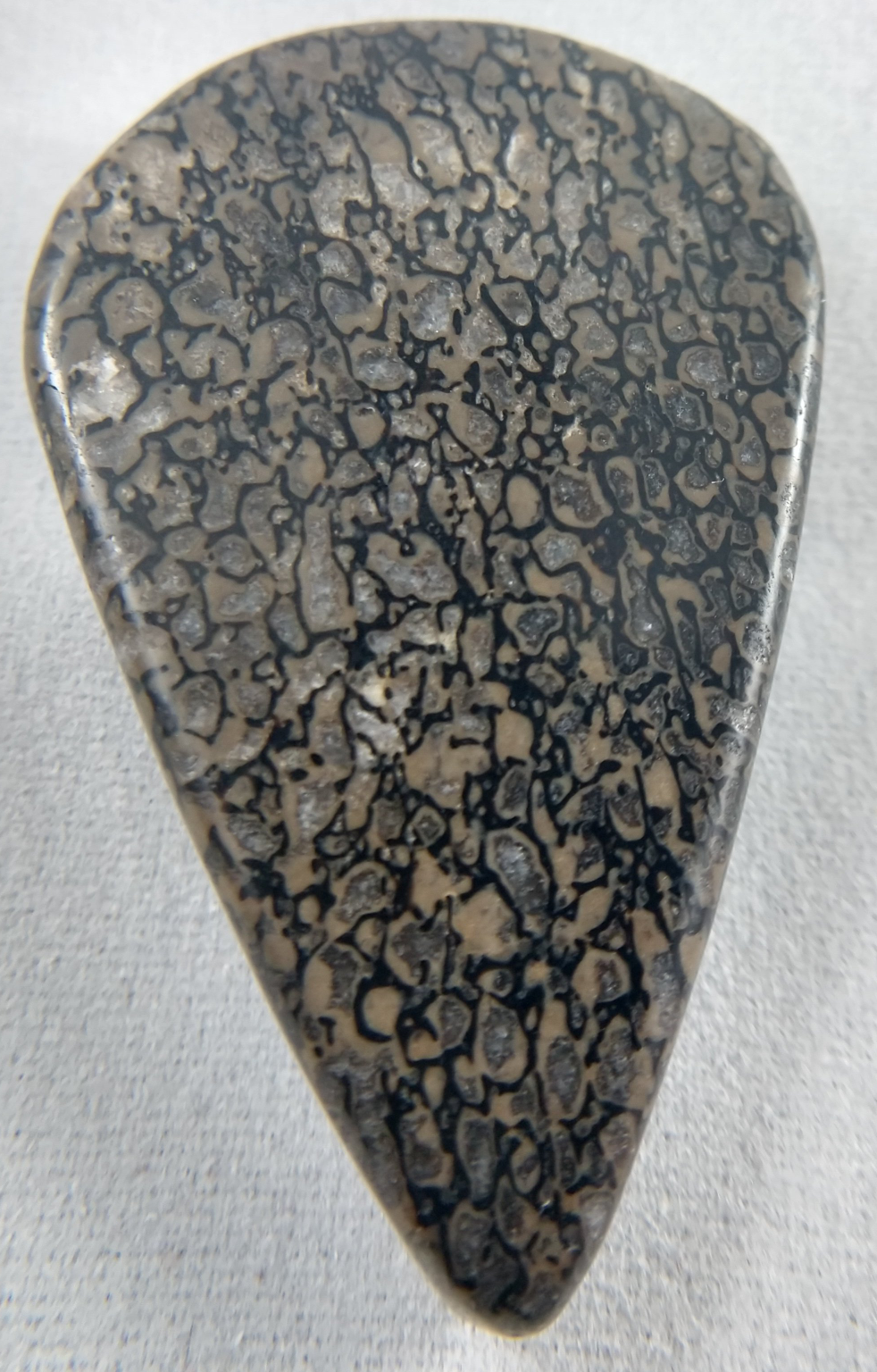 Dinosaur Bone Cabochon