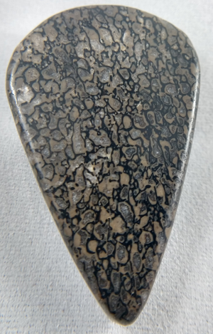 Dinosaur Bone Cabochon