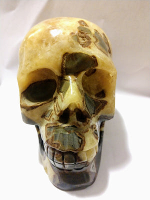 Septerian Skull 1.11kg