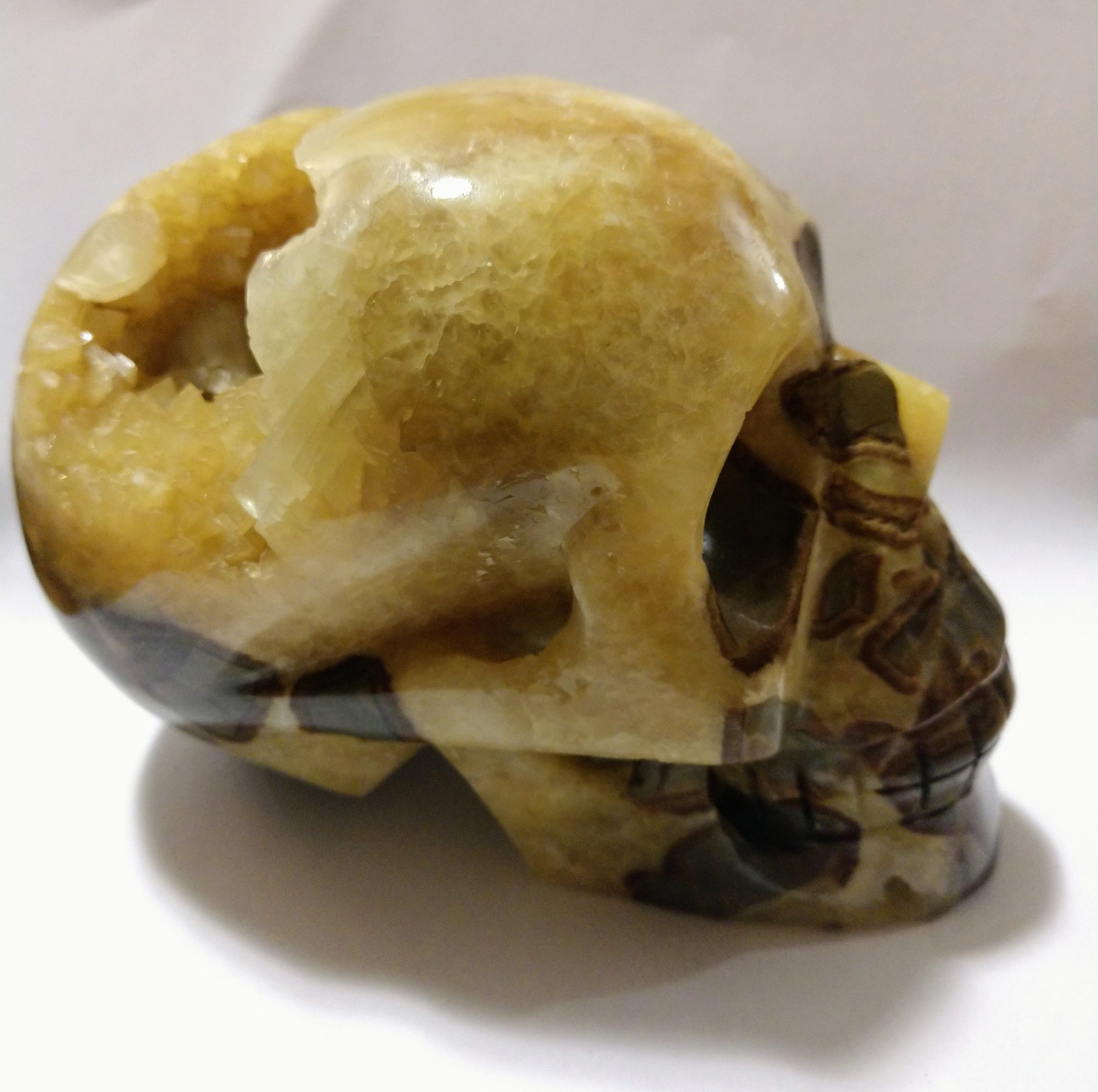 Septerian Skull 1.11kg