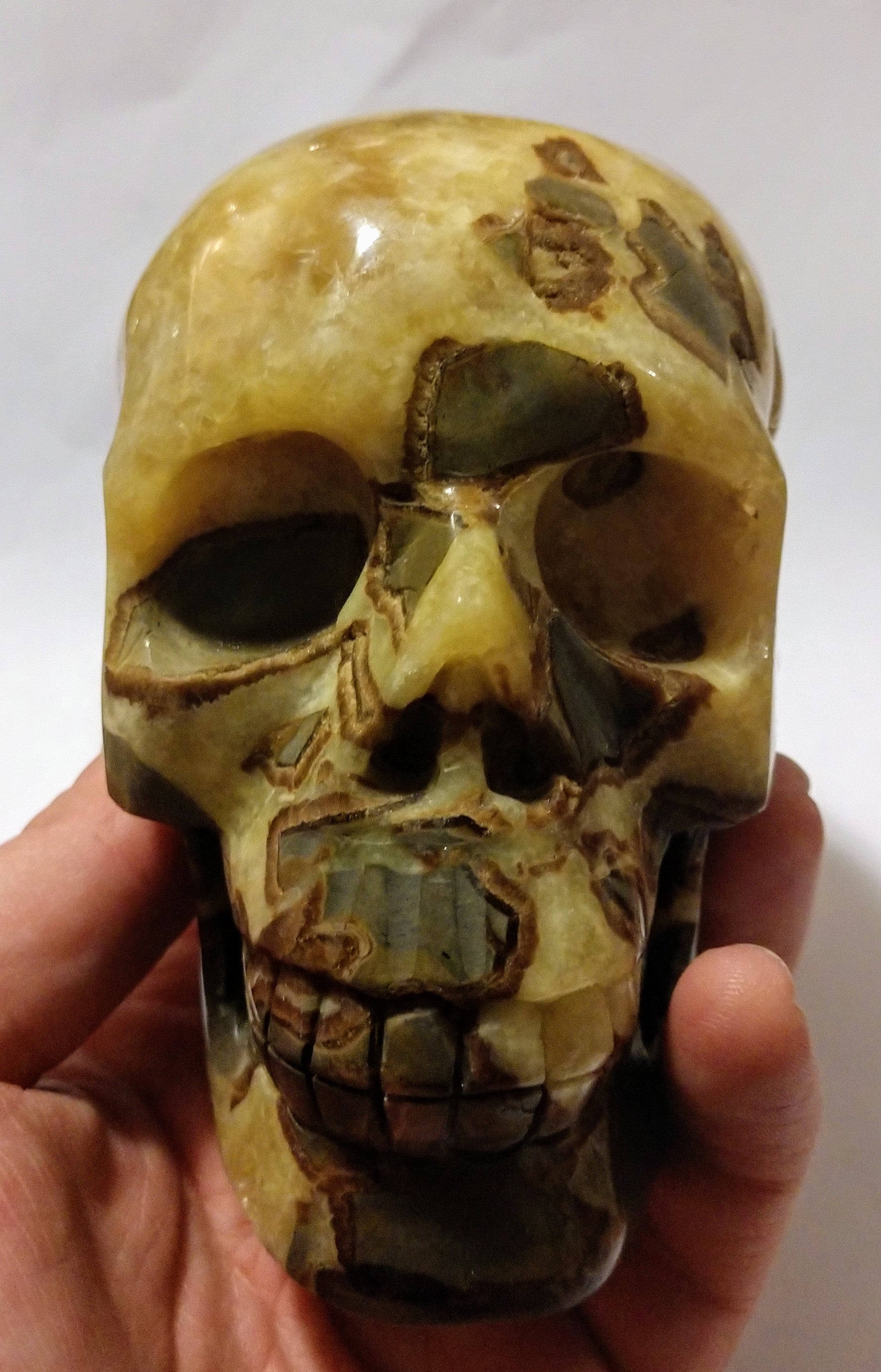 Septerian Skull 1.11kg