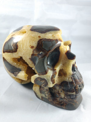 Septerian Skull