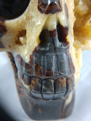 Septerian Skull