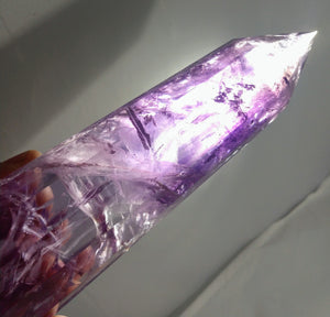 Amethyst Vogel,