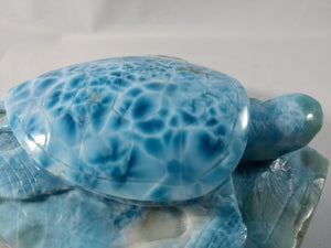 Larimar Turtle Carving