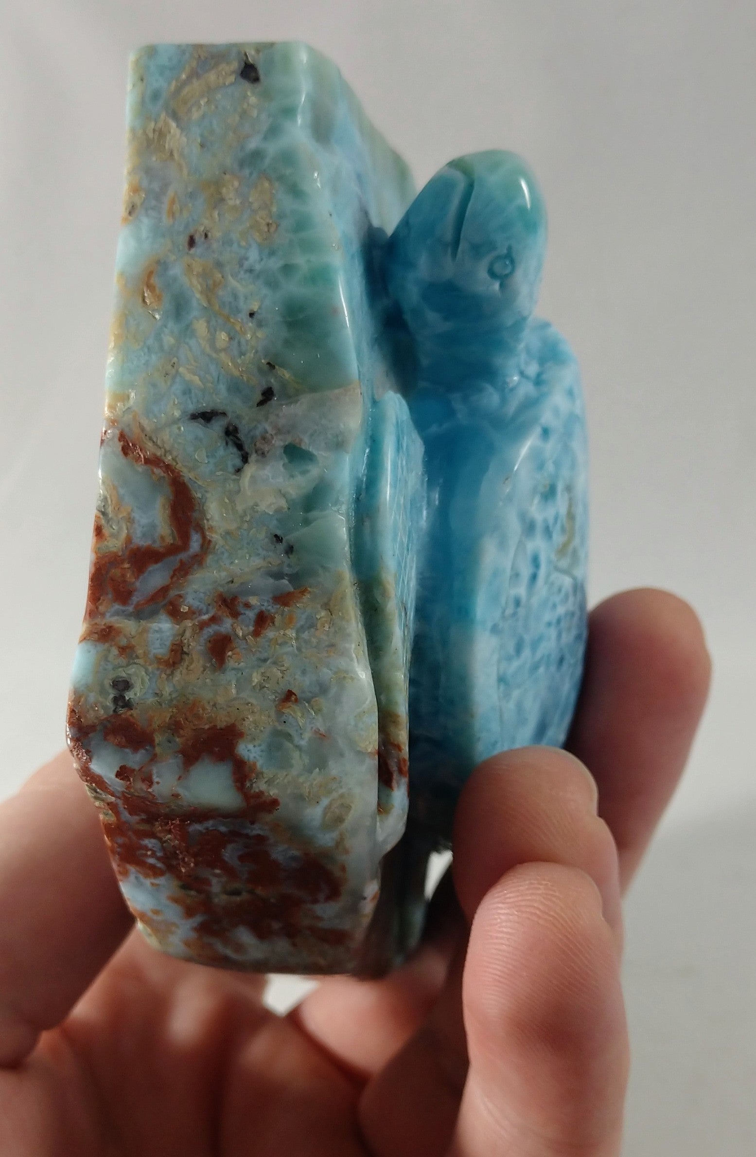 Larimar Turtle Carving