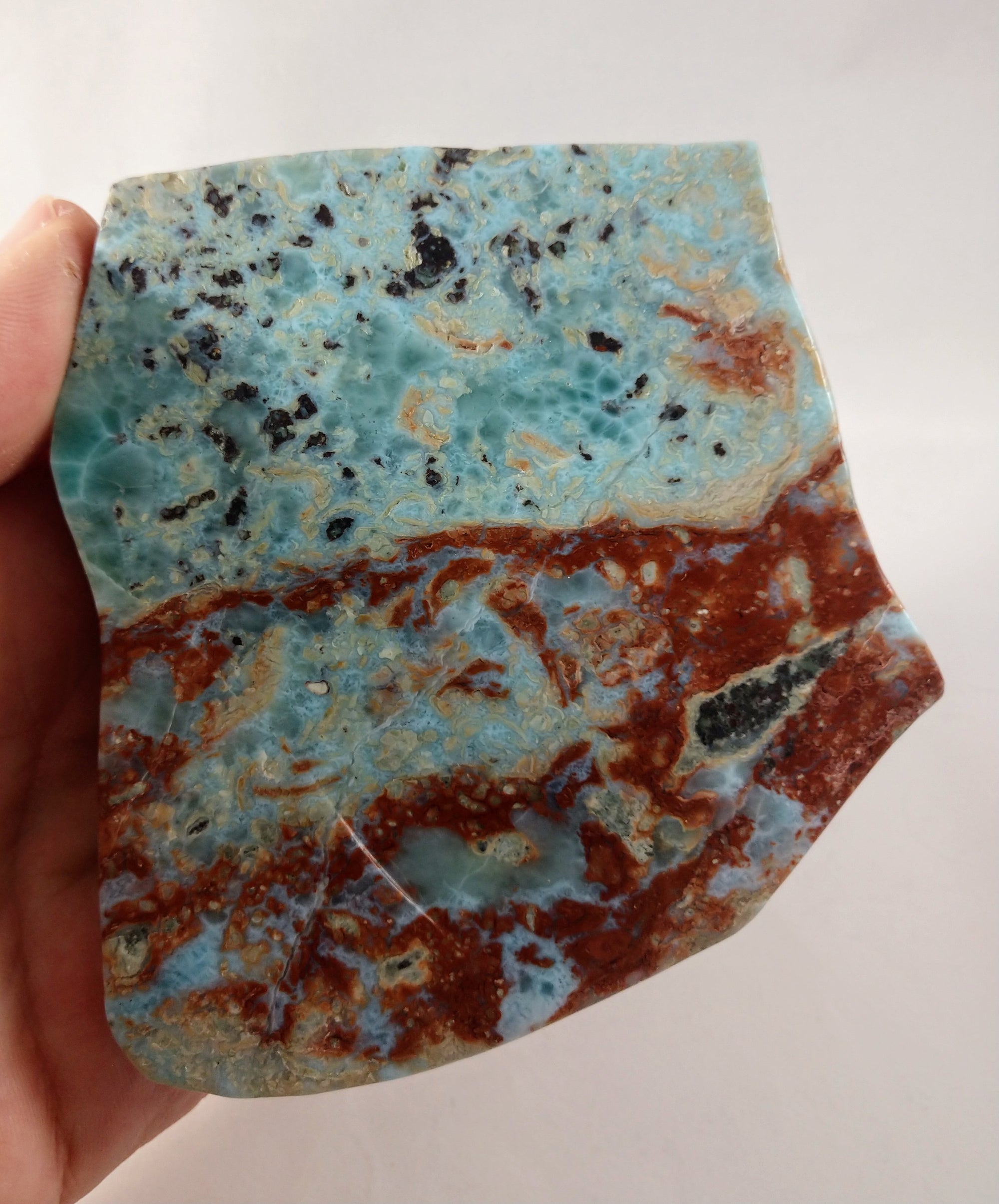 Larimar Turtle Carving