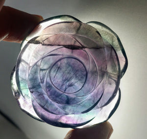 Rainbow Fluorite Rose