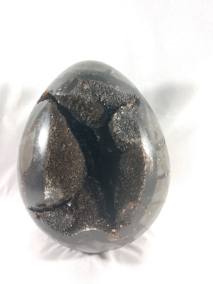 Septerian Egg, Madagascar