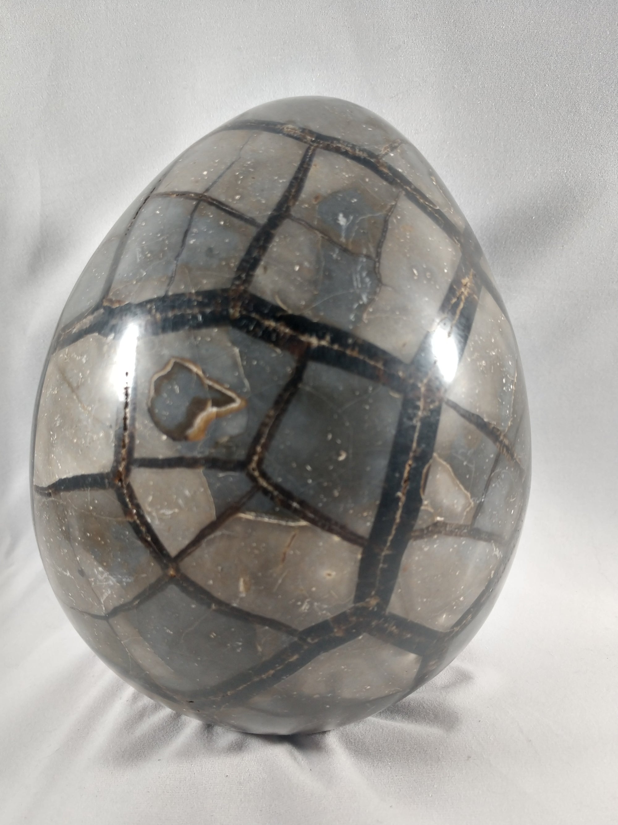 Septerian Egg, Madagascar