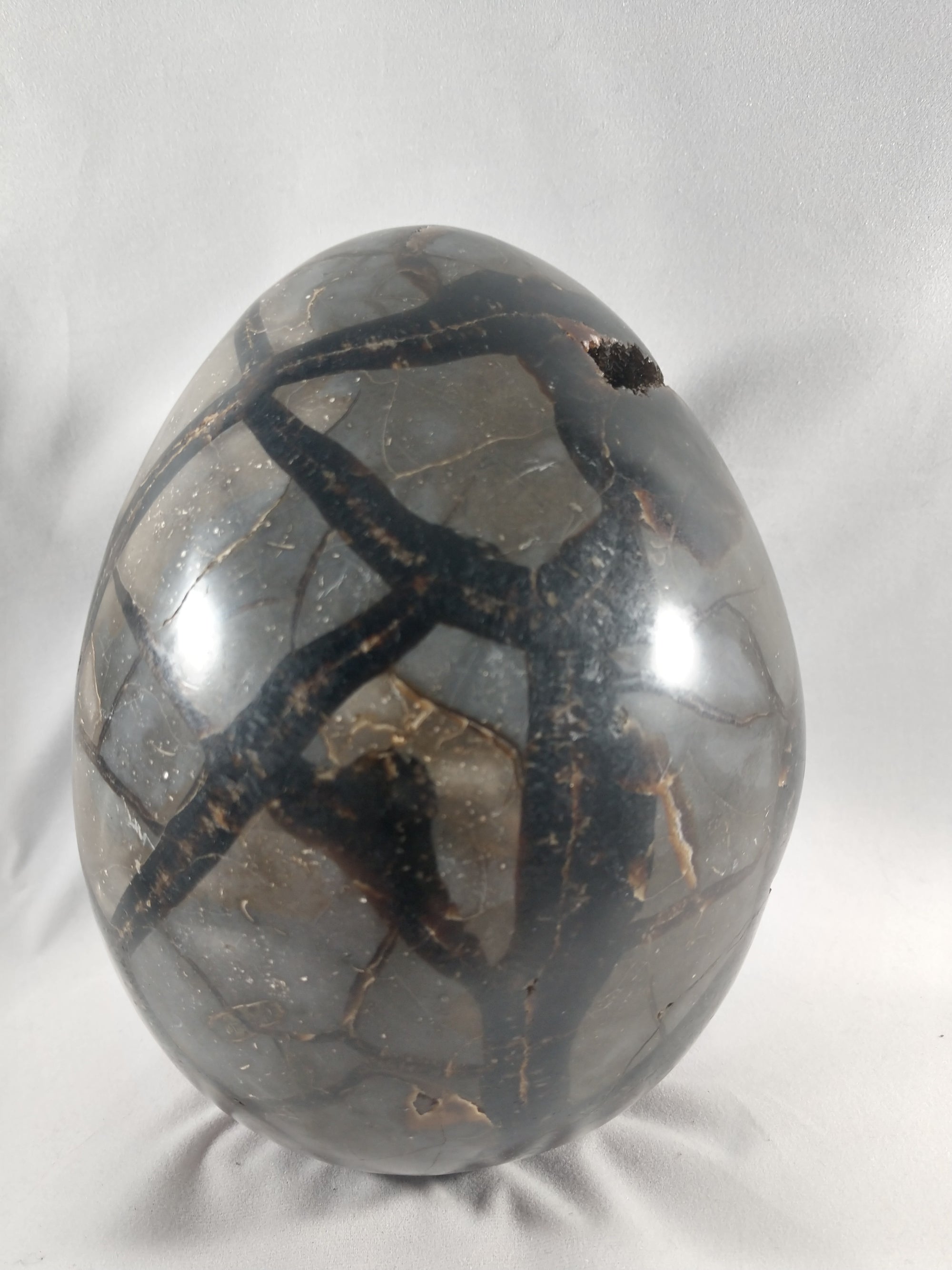 Septerian Egg, Madagascar