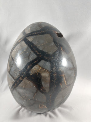 Septerian Egg, Madagascar