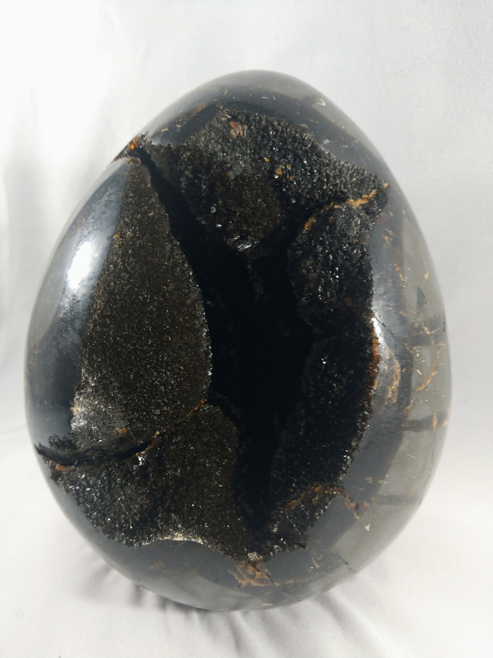 Septerian Egg, Madagascar
