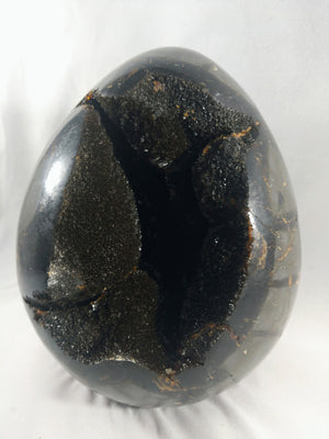 Septerian Egg, Madagascar