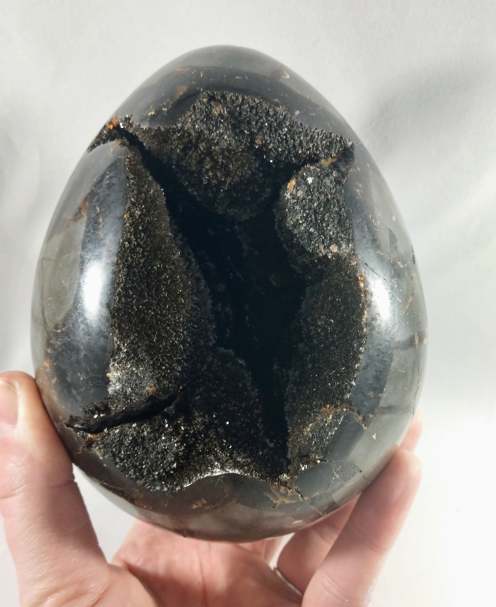 Septerian Egg, Madagascar