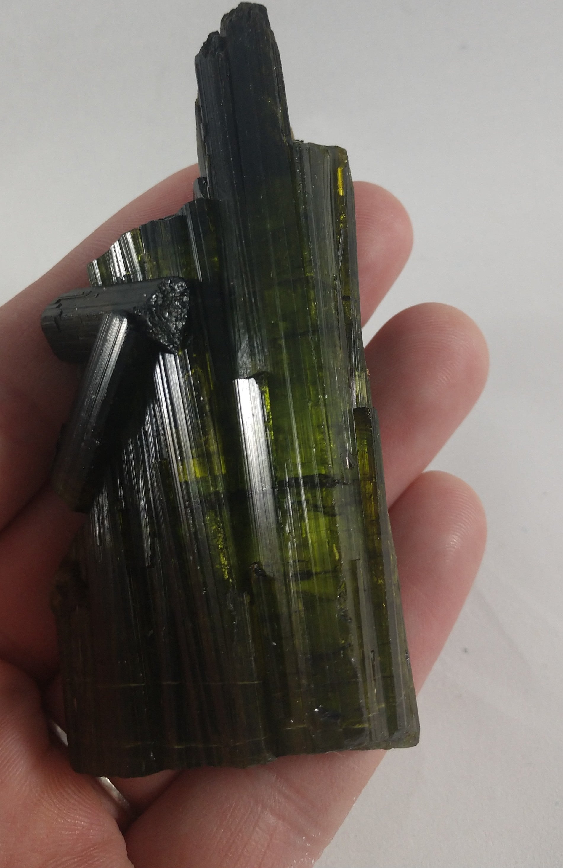 Bi-color Tourmaline