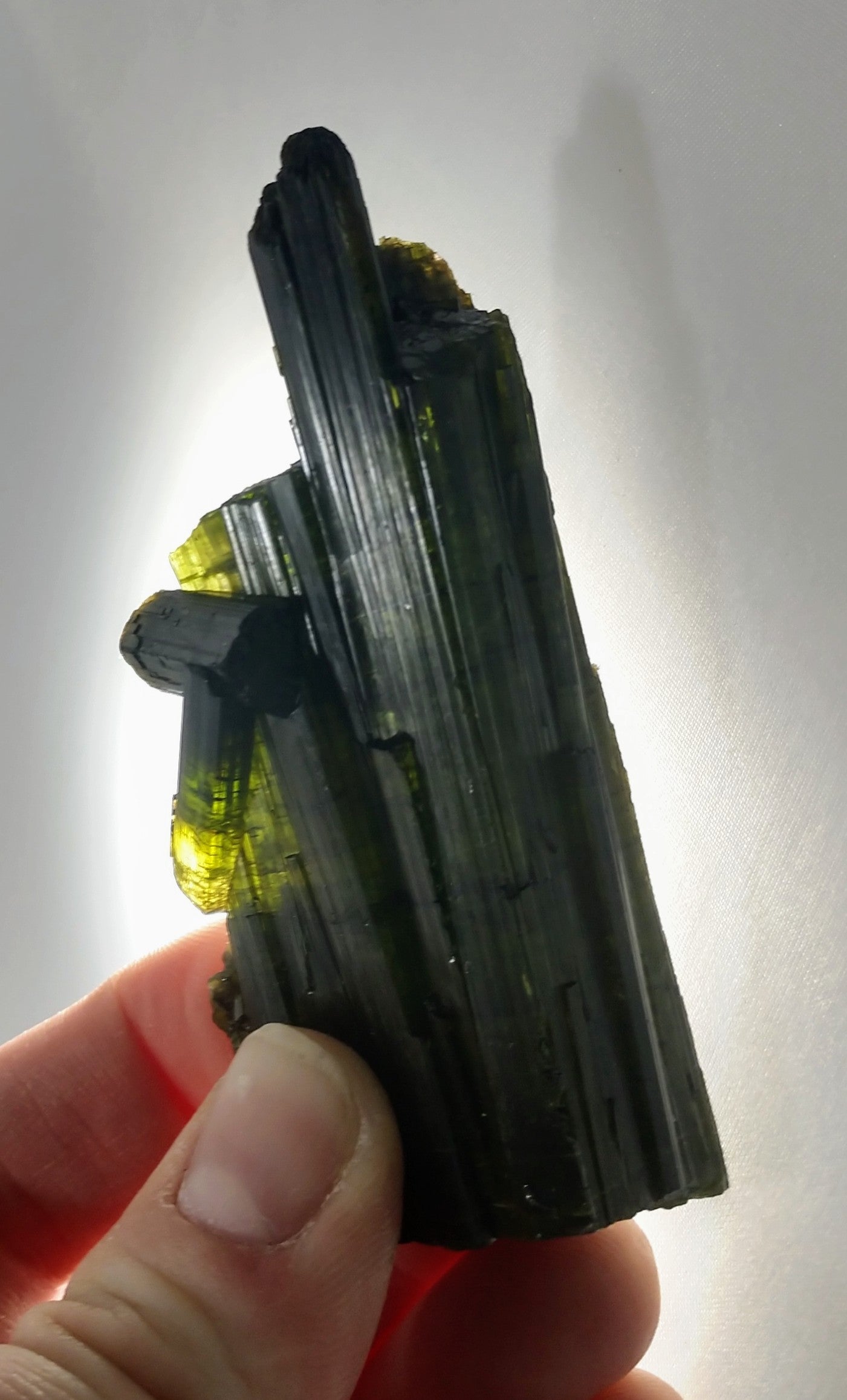 Bi-color Tourmaline