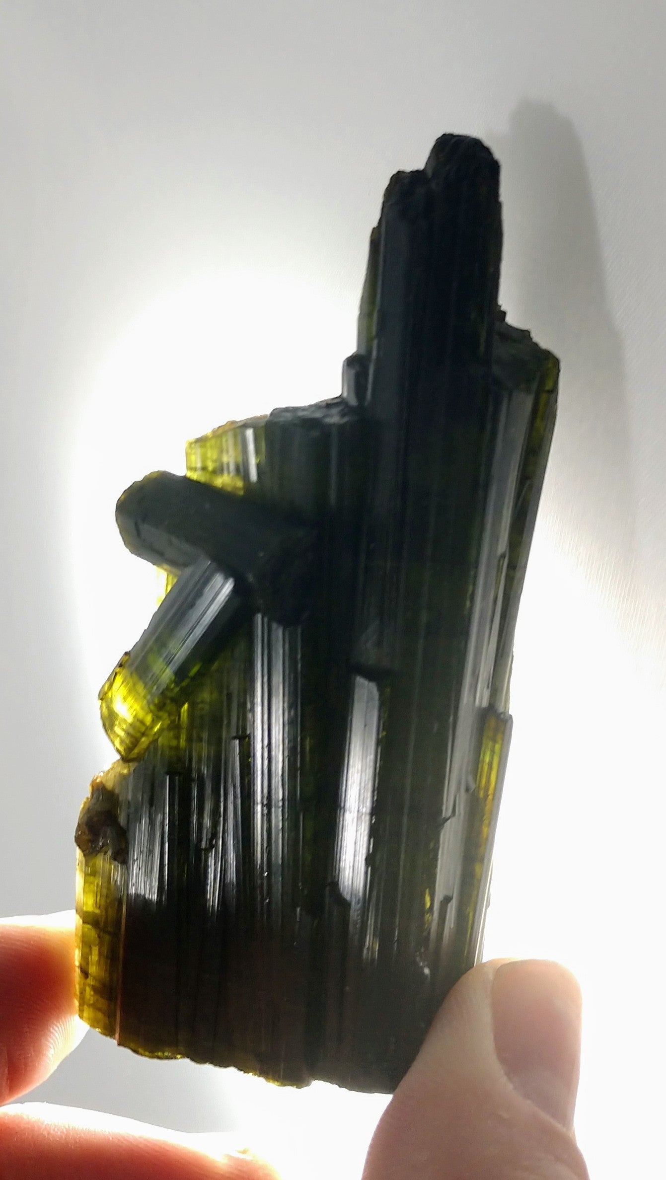 Bi-color Tourmaline