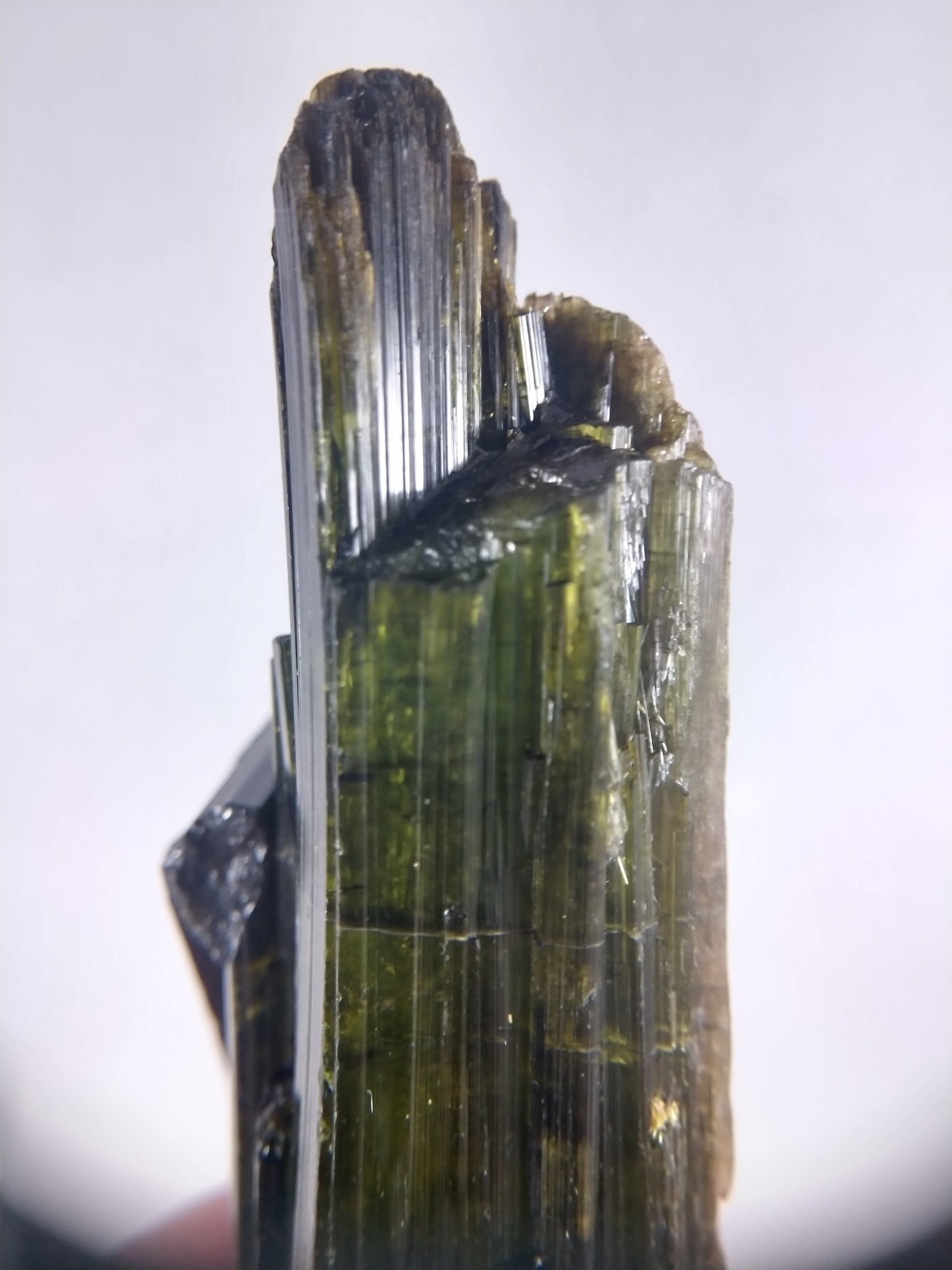 Bi-color Tourmaline