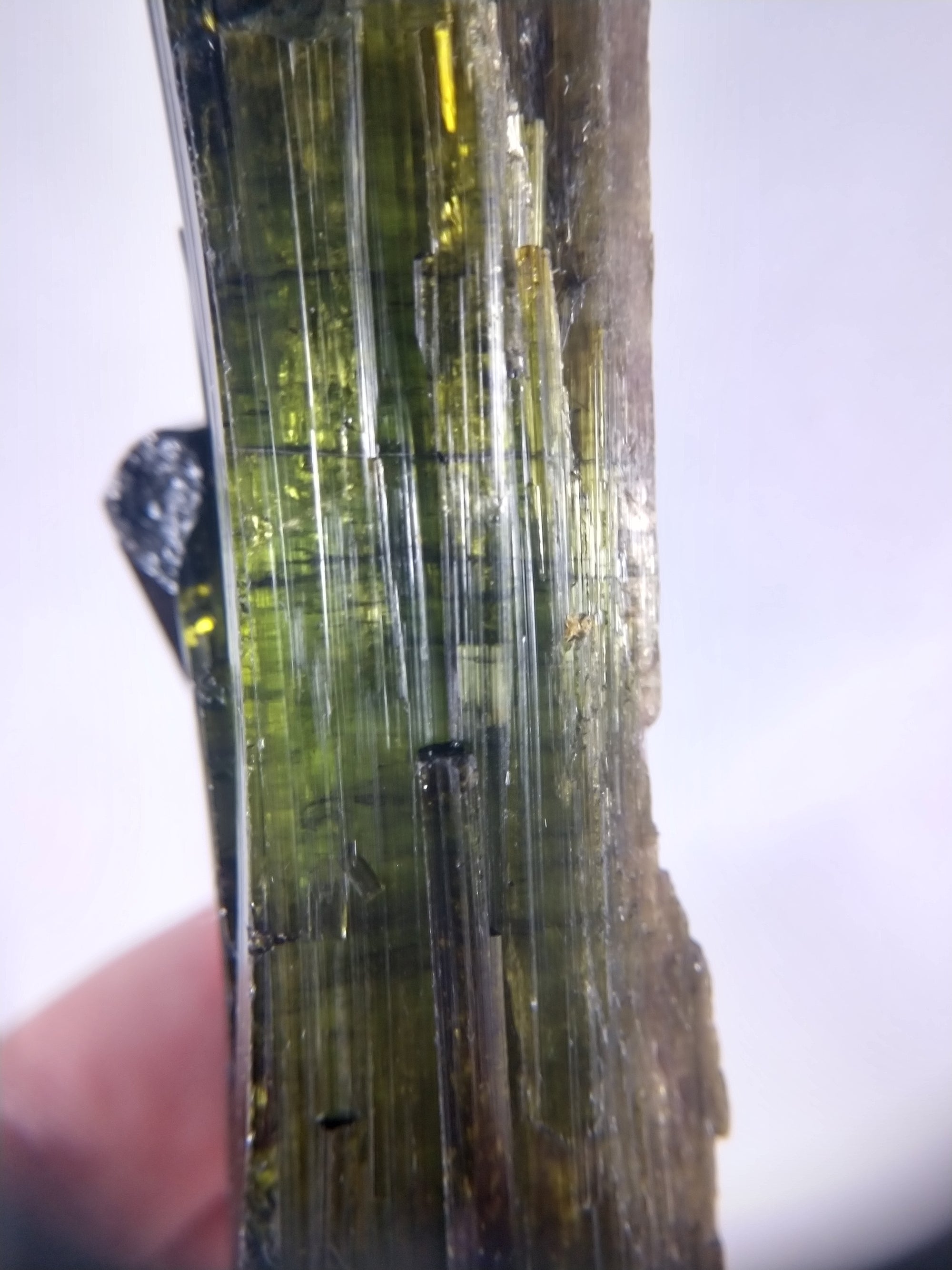 Bi-color Tourmaline