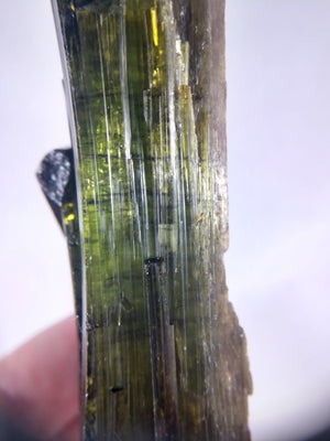 Bi-color Tourmaline