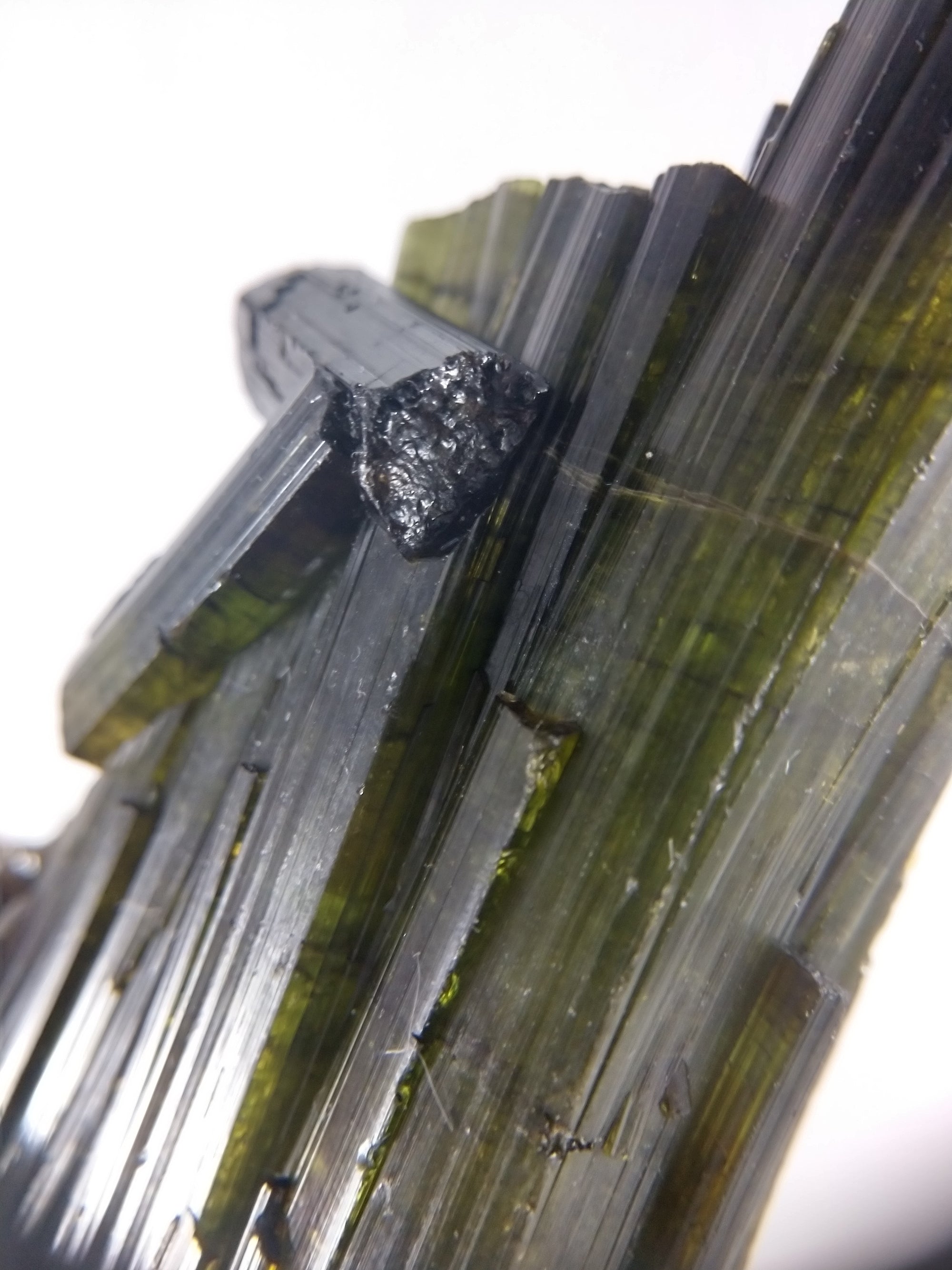 Bi-color Tourmaline