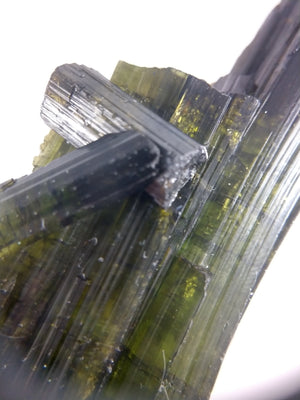 Bi-color Tourmaline