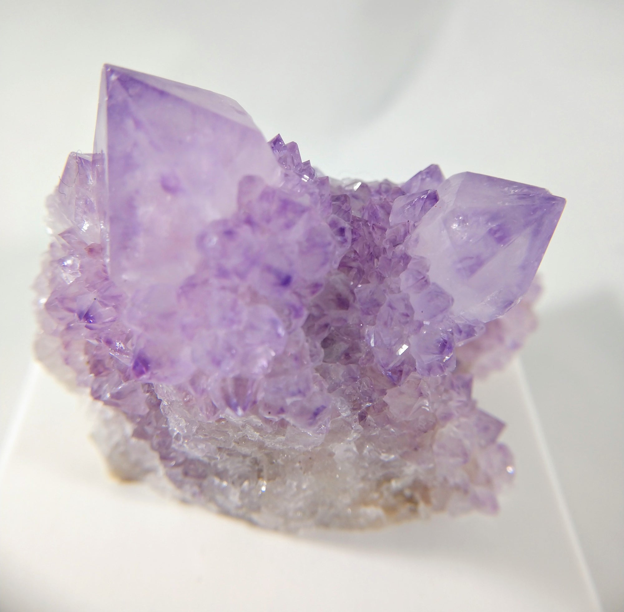 Cactus Amethyst