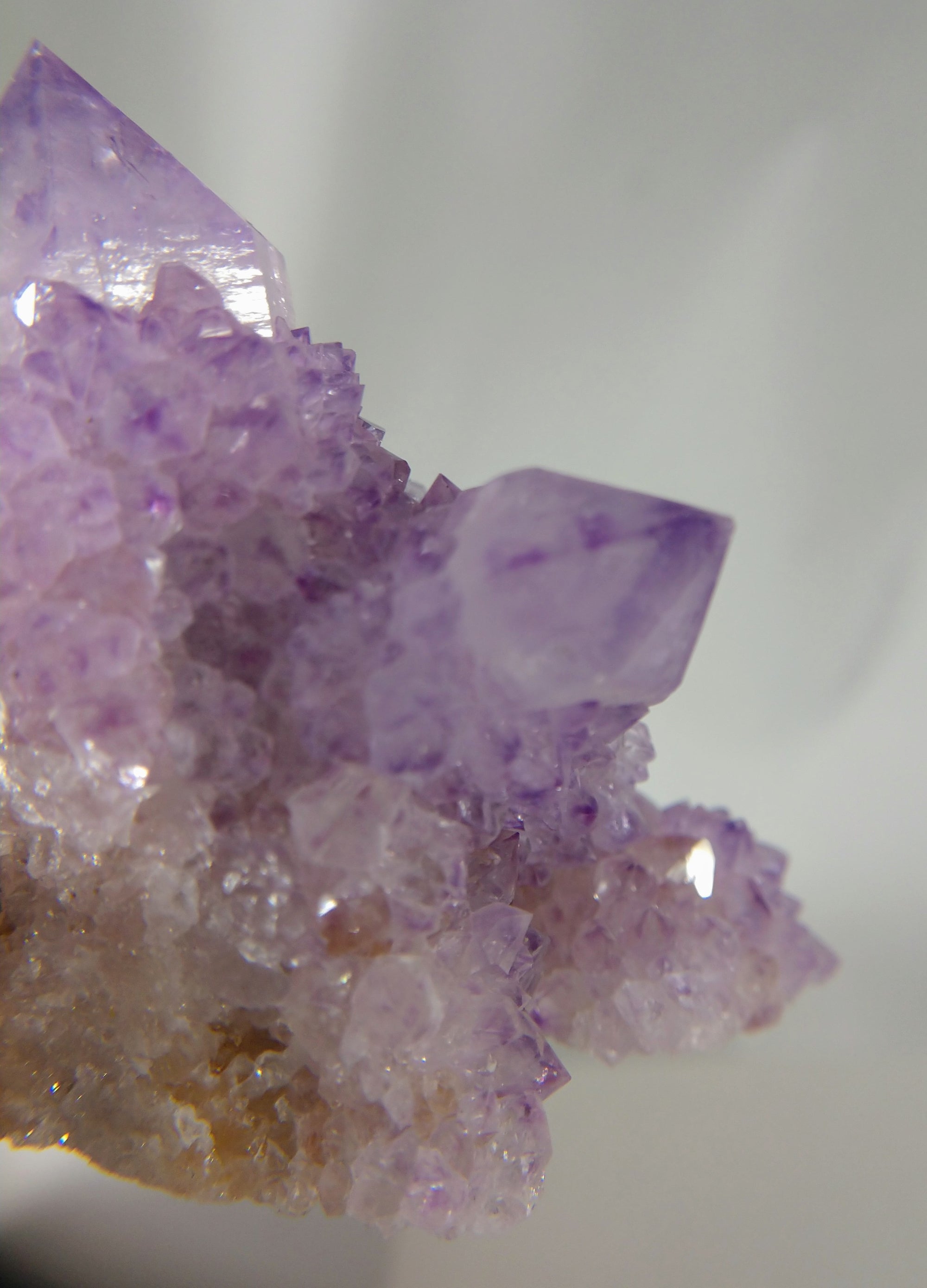 Cactus Amethyst