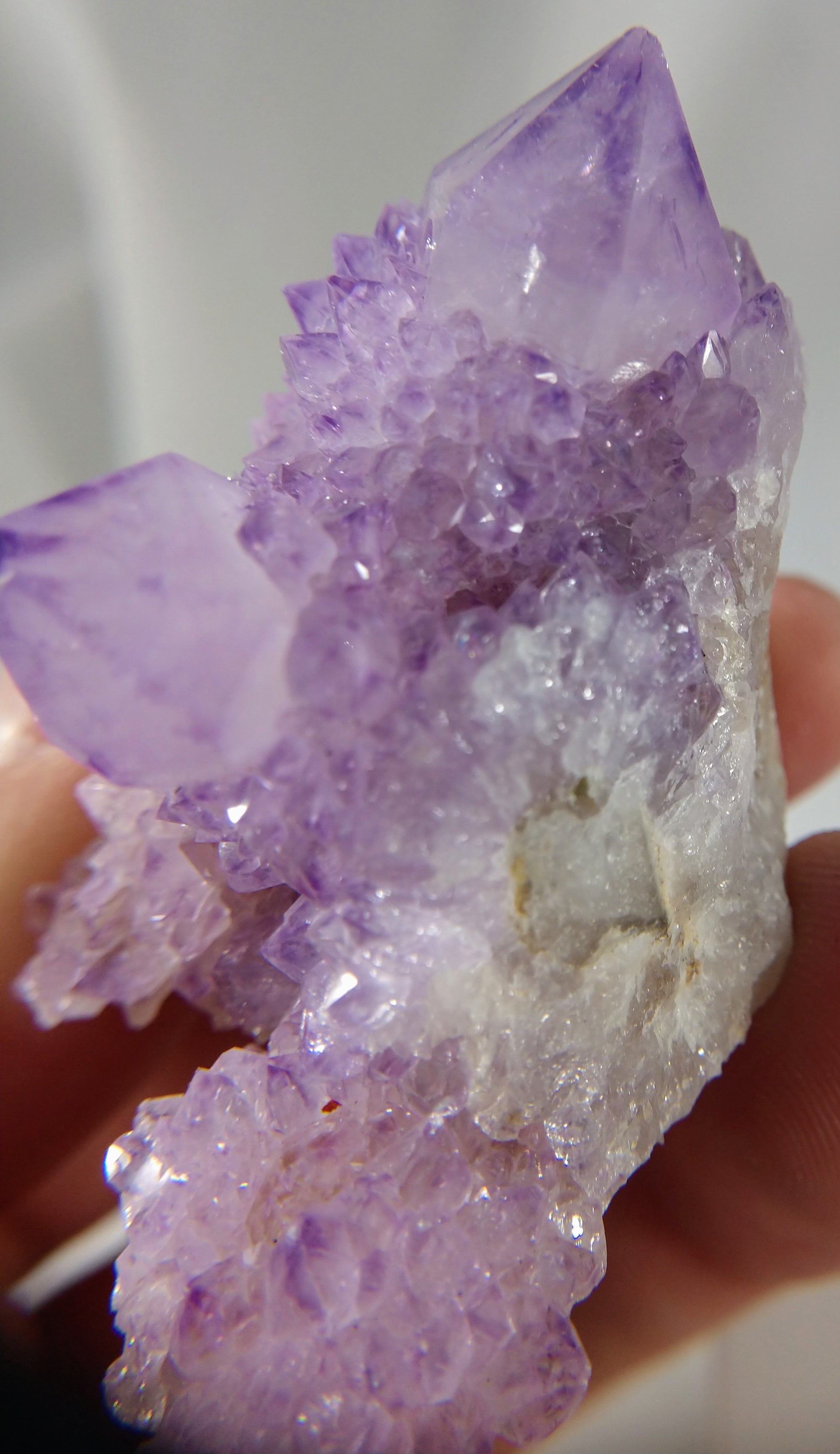 Cactus Amethyst
