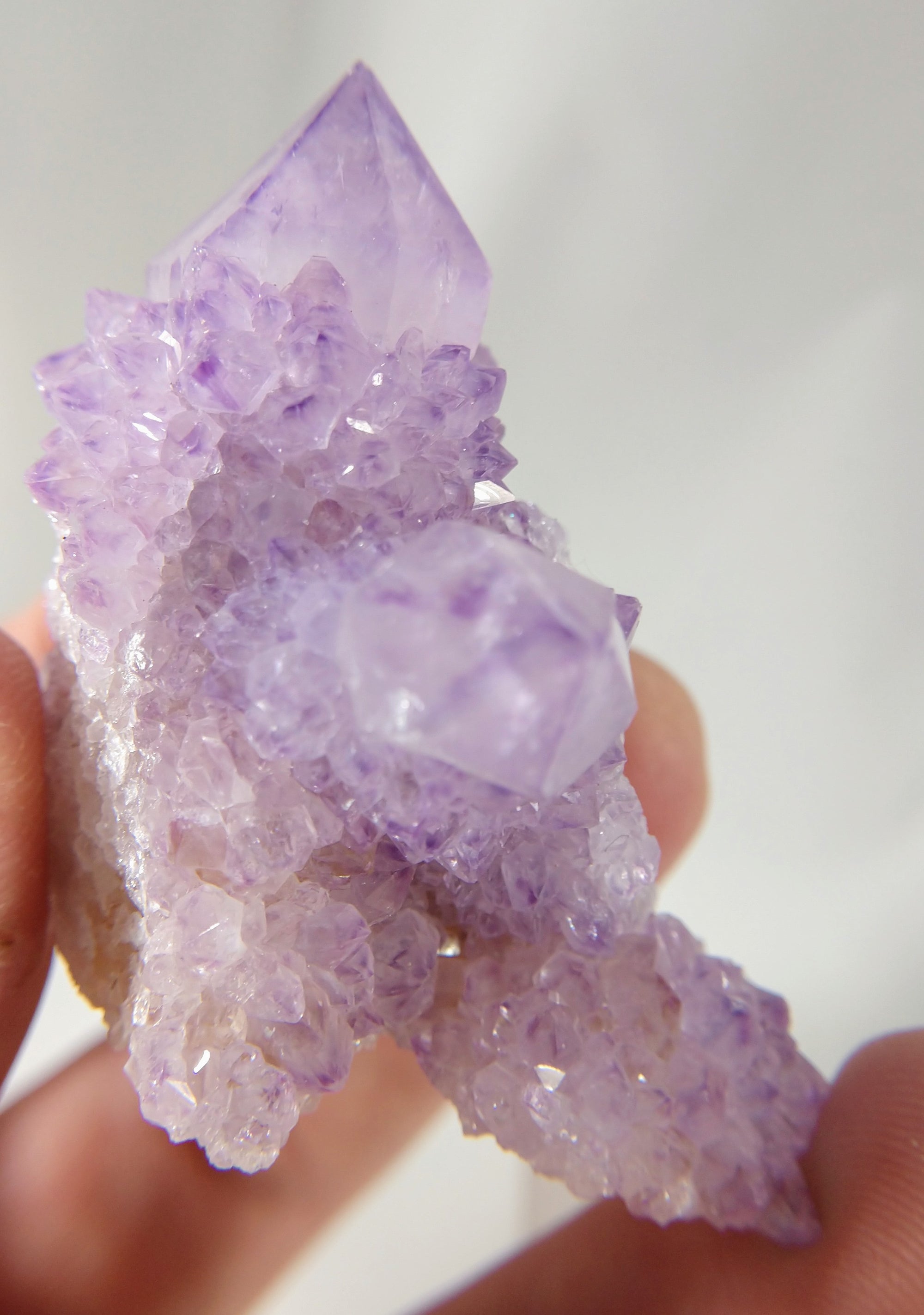 Cactus Amethyst