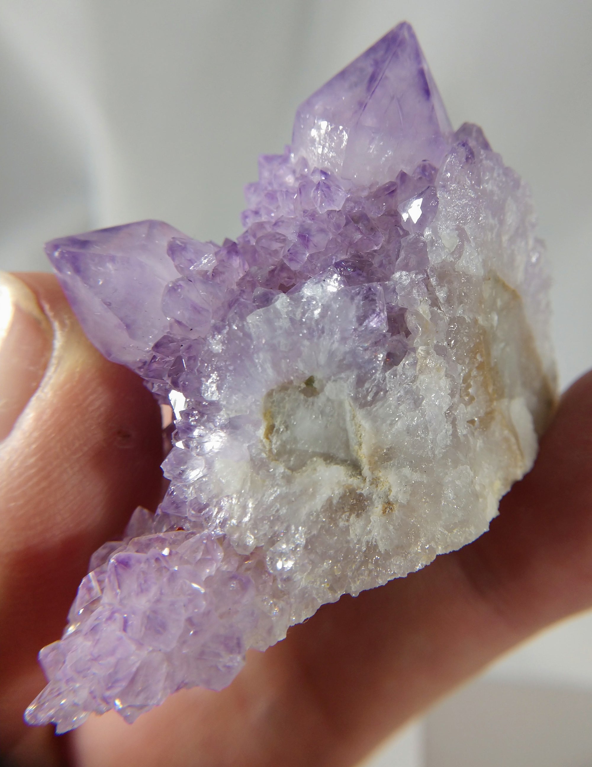 Cactus Amethyst