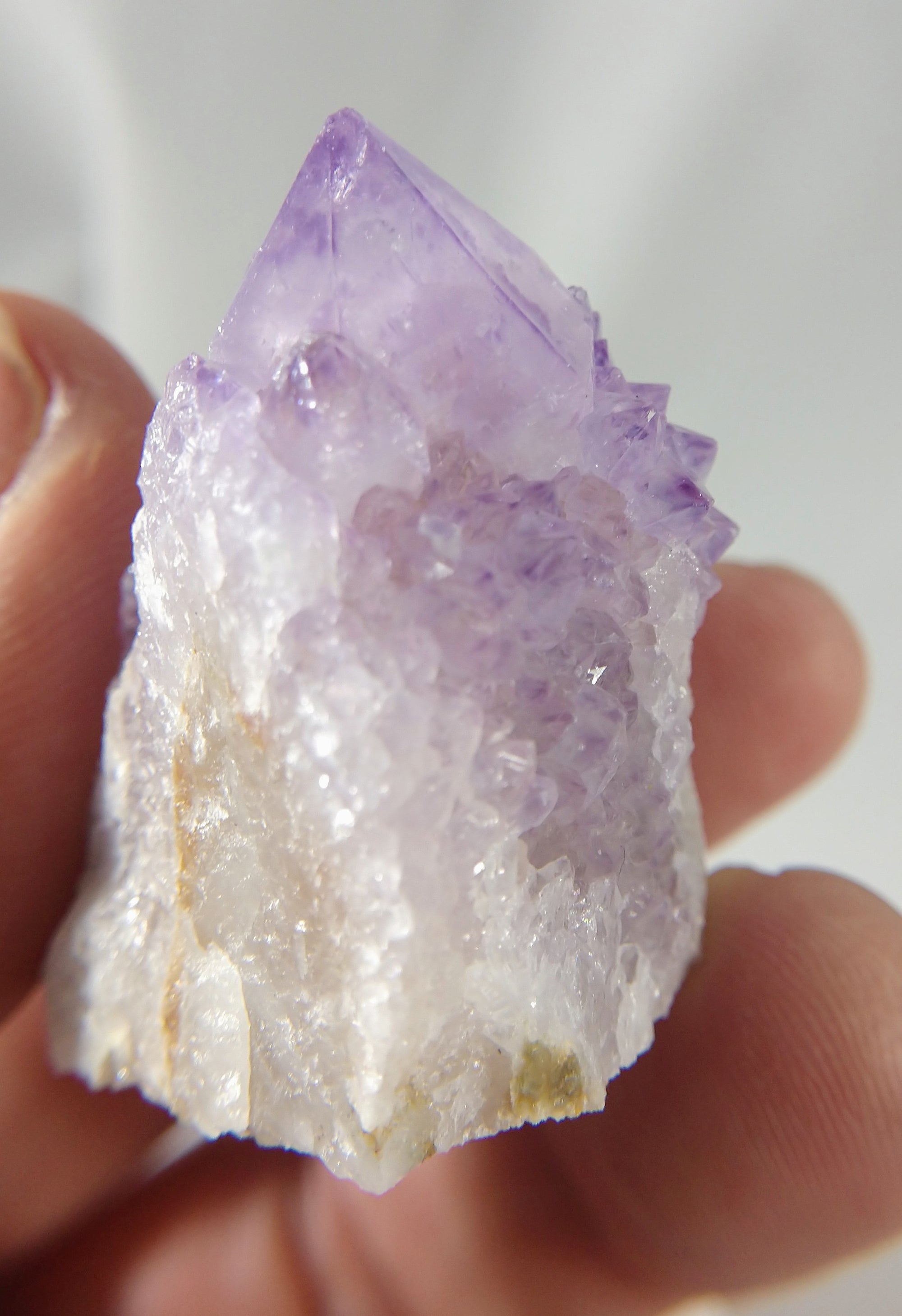 Cactus Amethyst