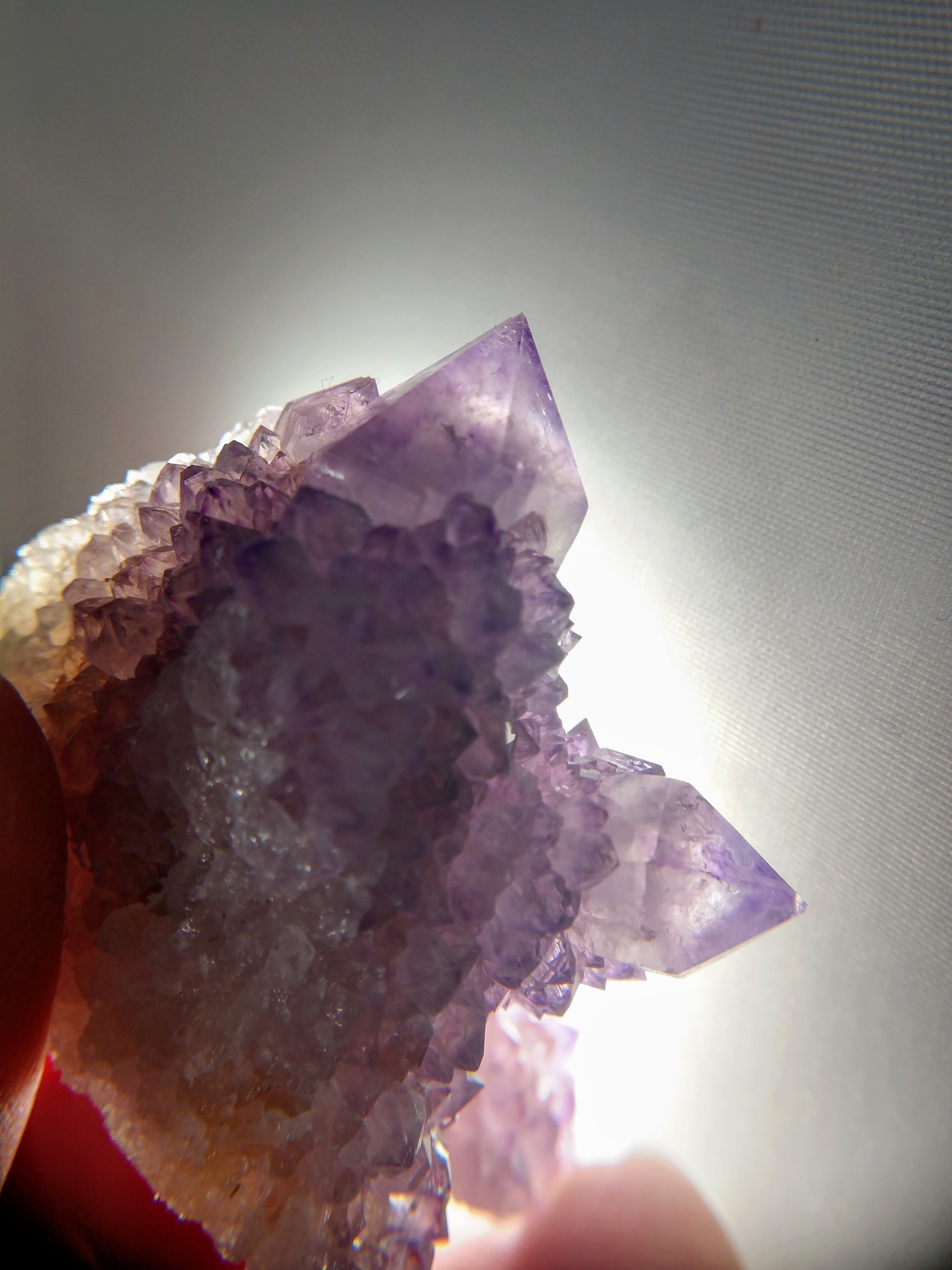 Cactus Amethyst