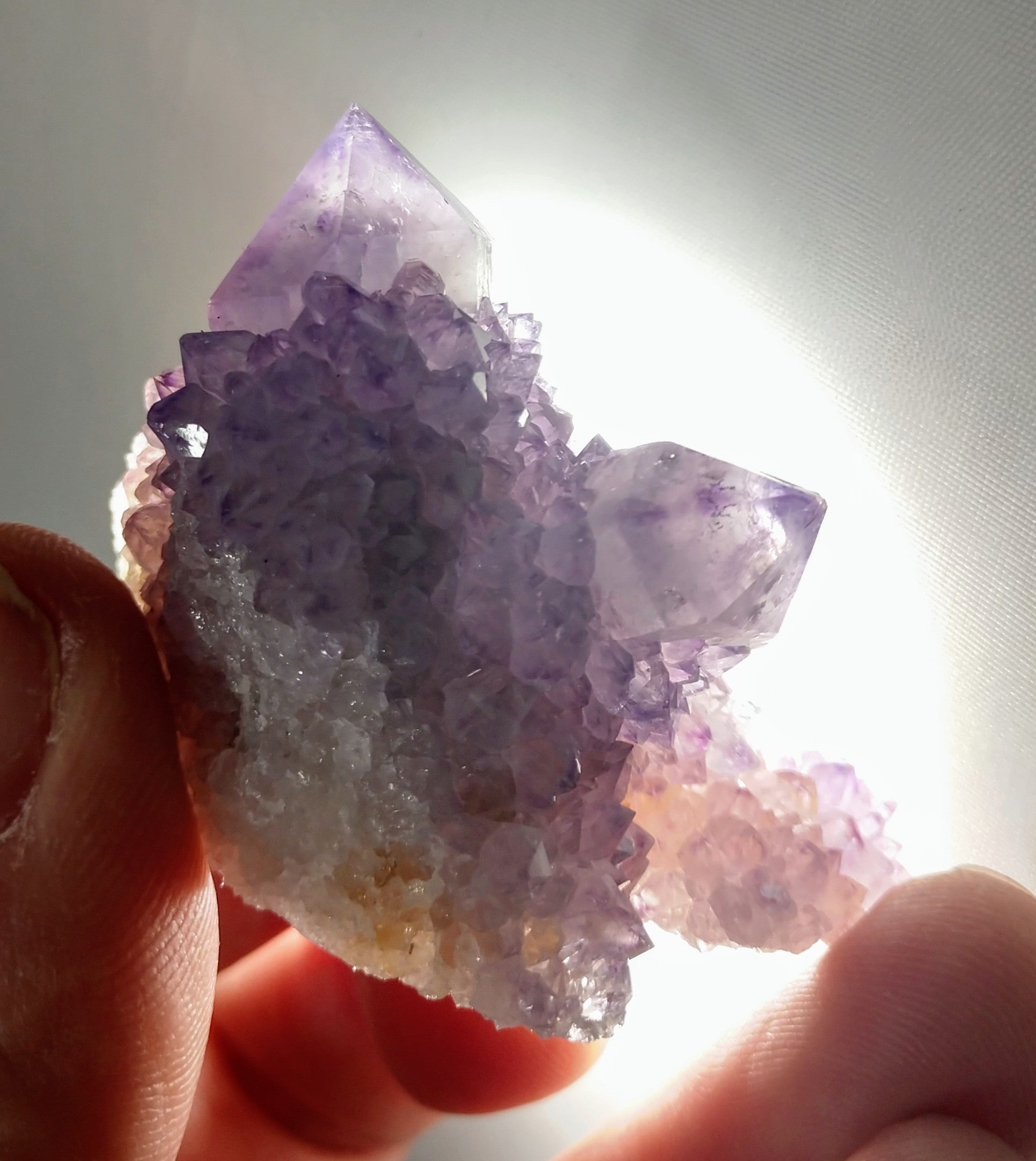 Cactus Amethyst