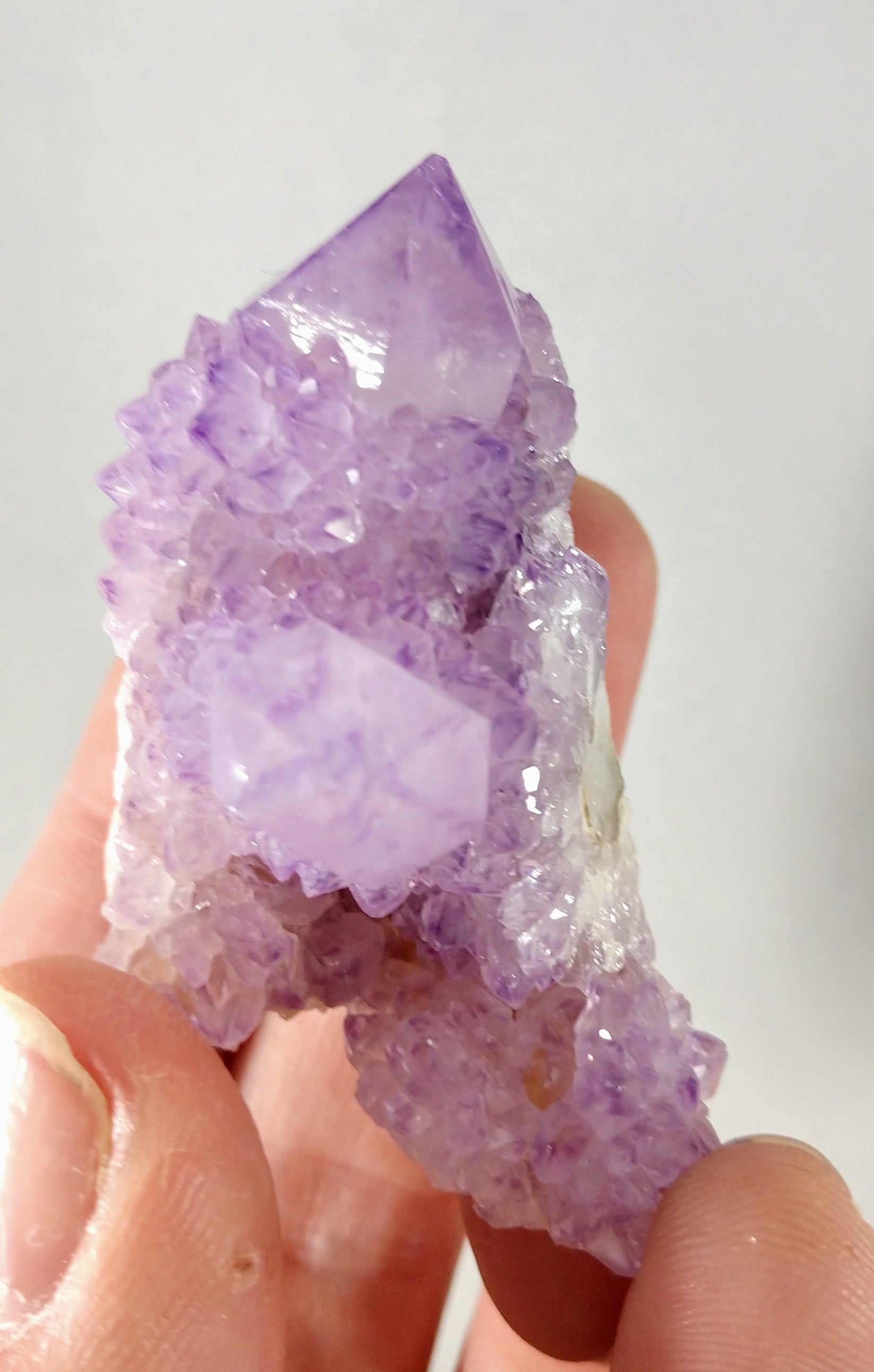 Cactus Amethyst
