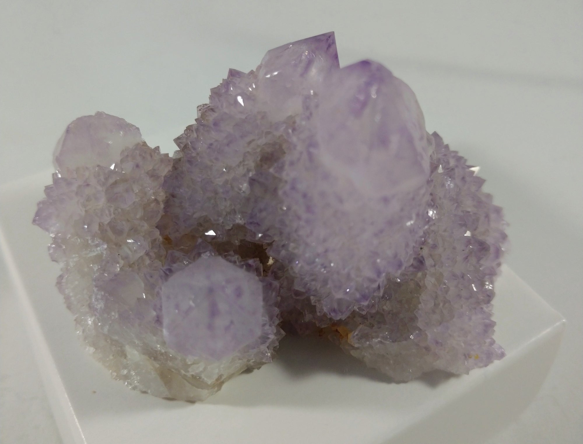 Cactus Quartz