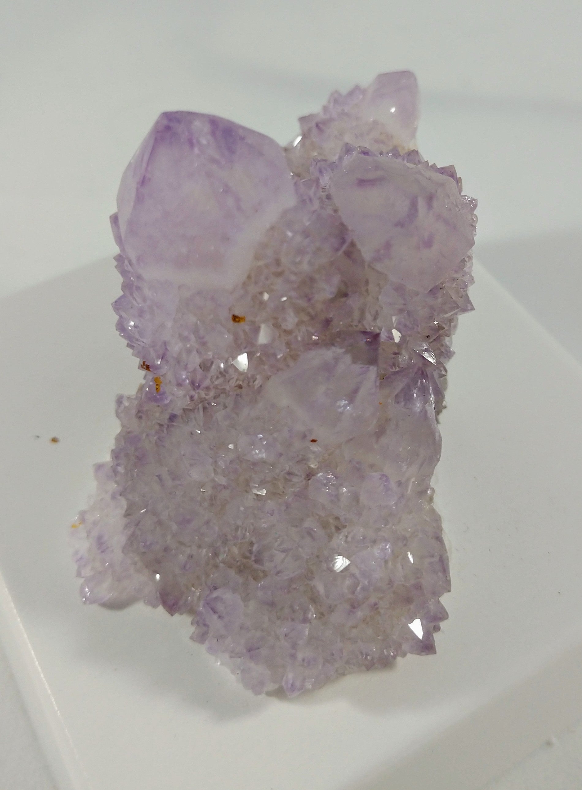 Cactus Quartz