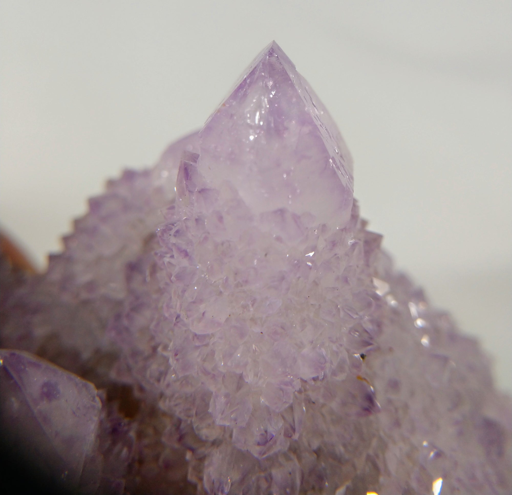 Cactus Quartz