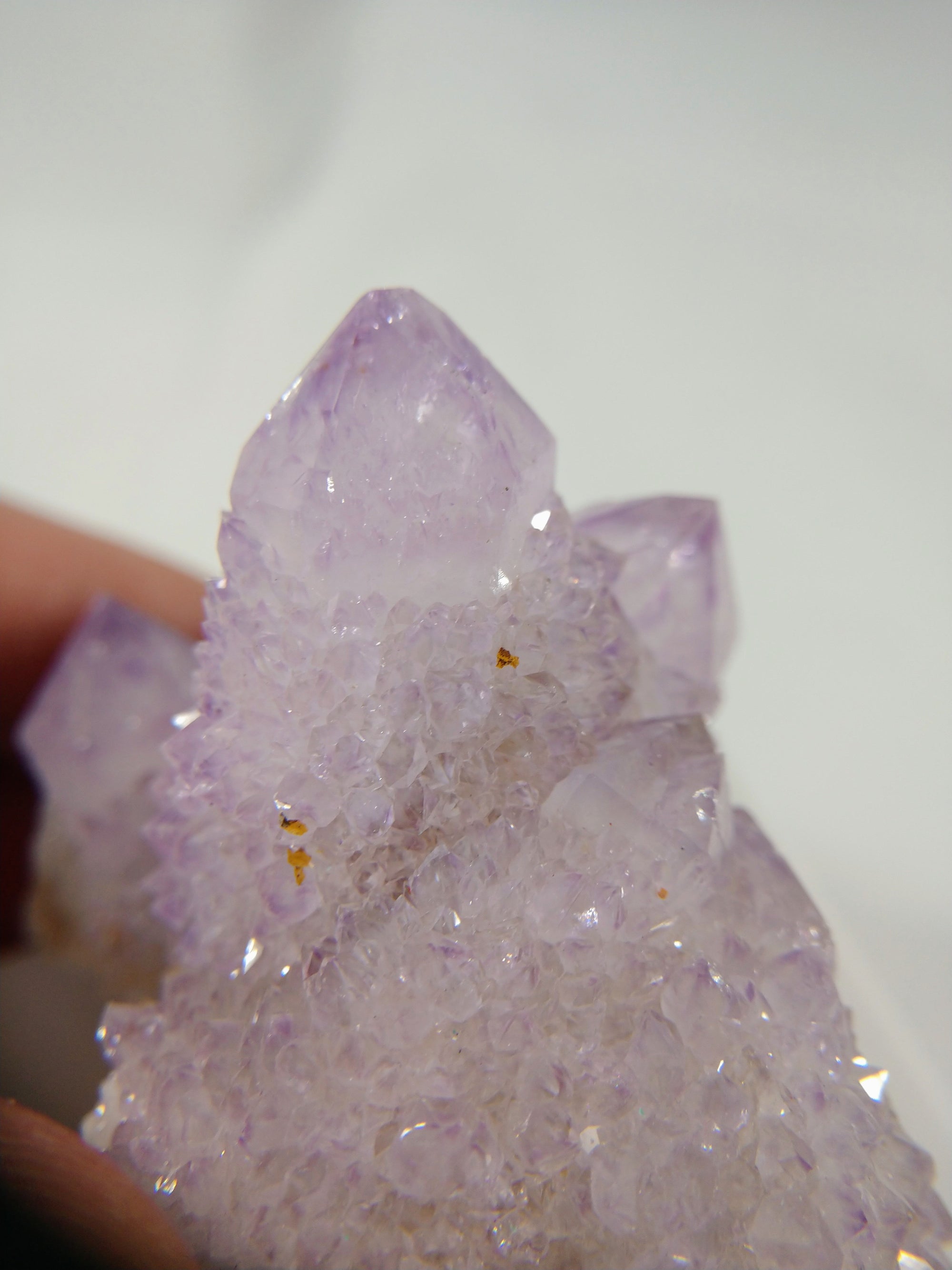 Cactus Quartz