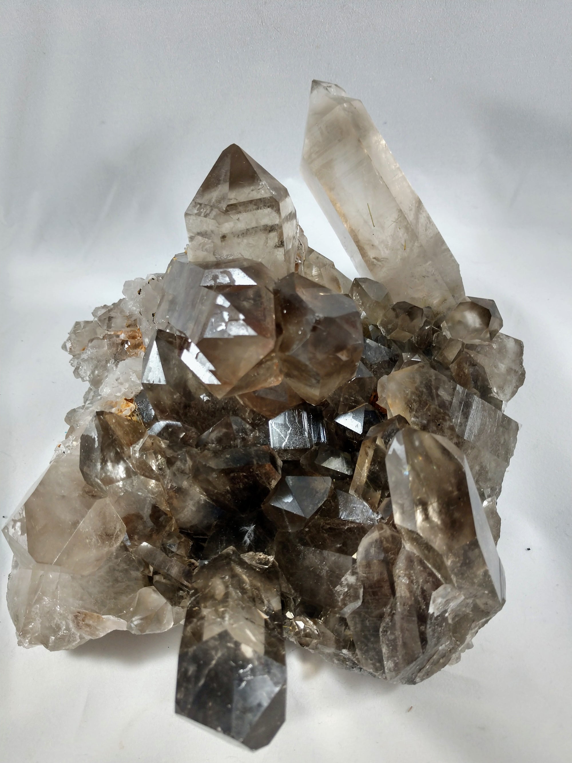 Smoky Quartz Cluster