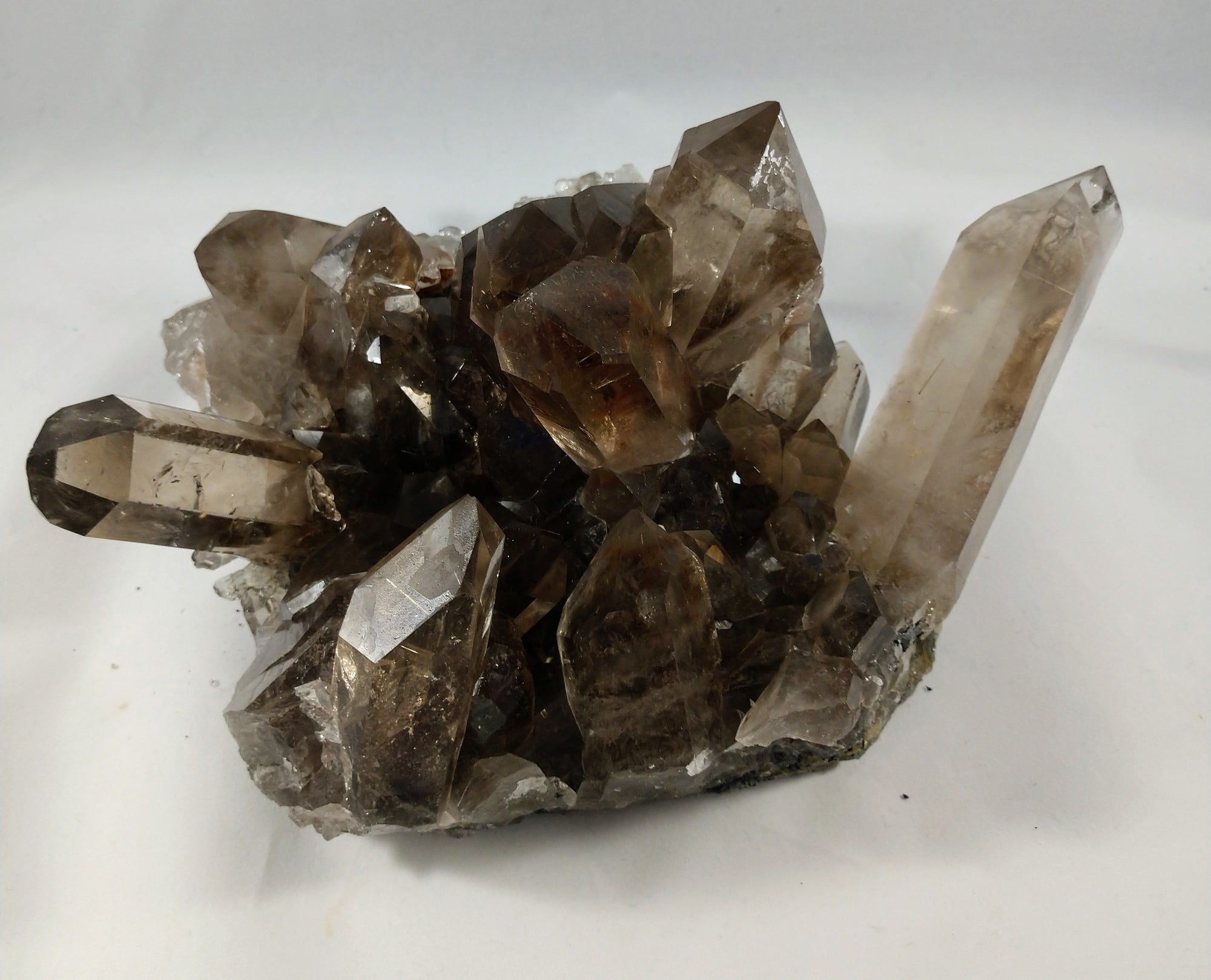 Smoky Quartz Cluster