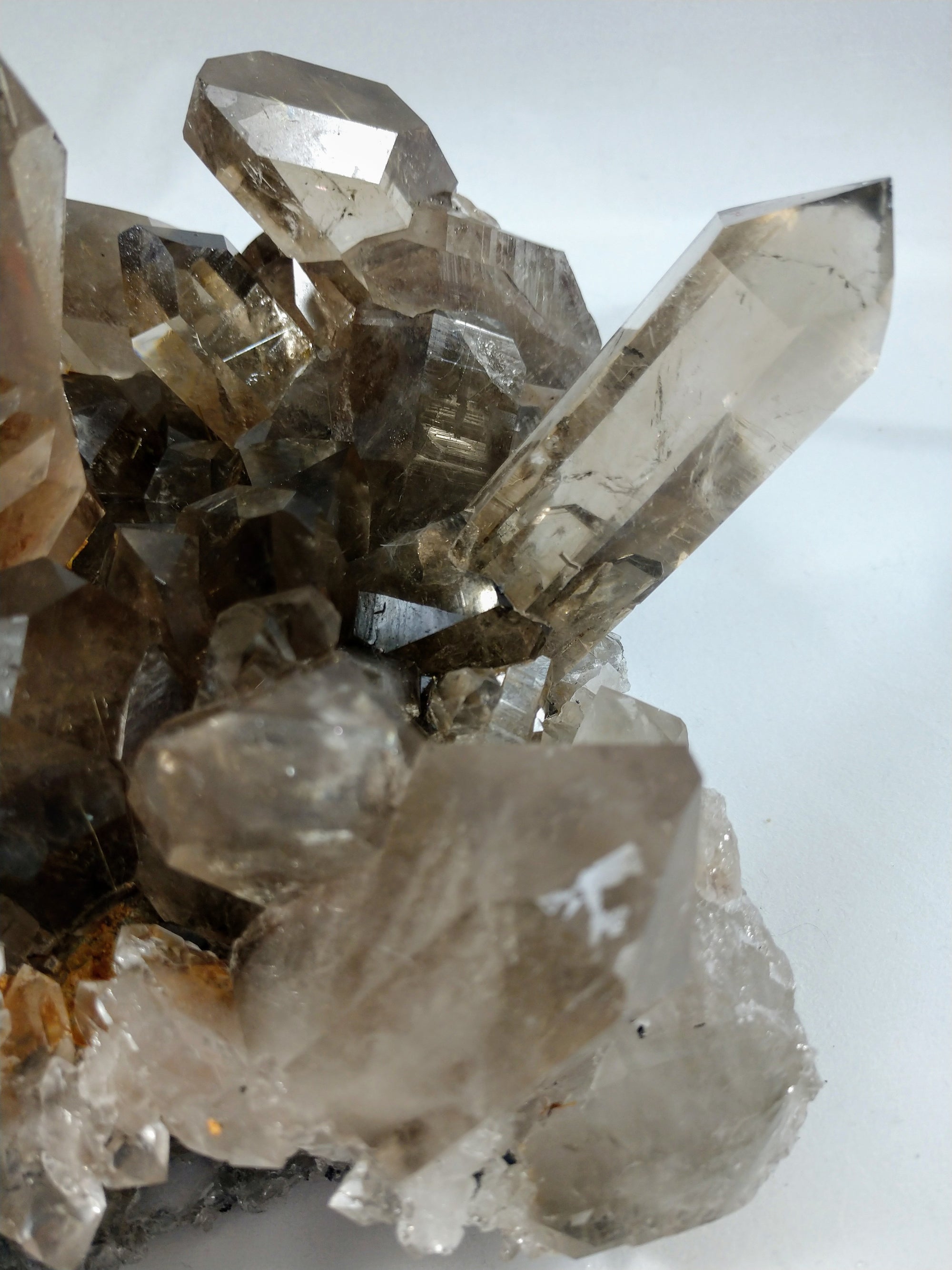 Smoky Quartz Cluster