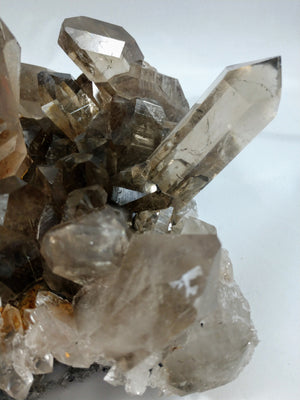 Smoky Quartz Cluster