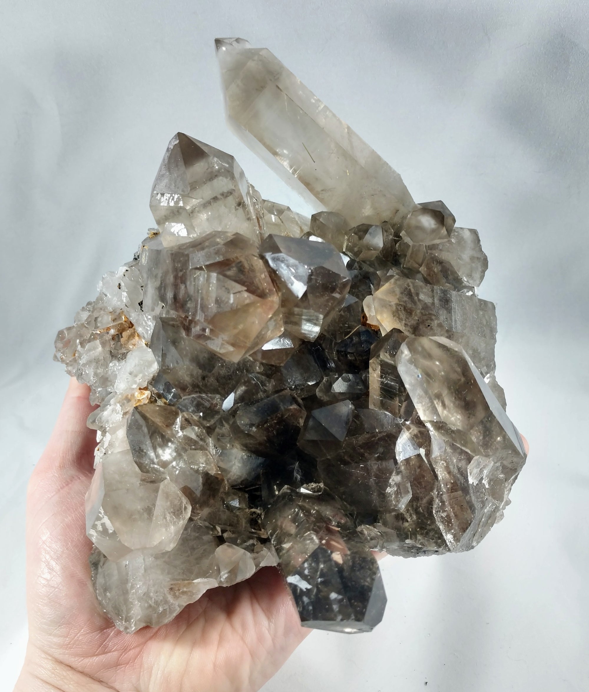 Smoky Quartz Cluster